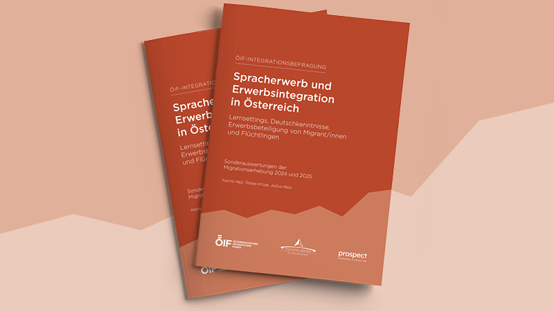 Migrationserhebung 2025, STATISTIK AUSTRIA.