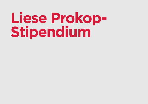 Liese Prokop Stipendium