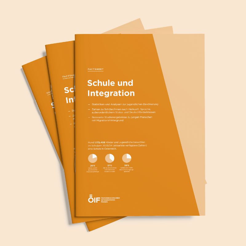 Factsheet Schule und Integration