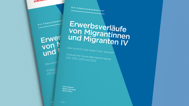 Erwerbsverläufe von Migrantinnen und Migranten