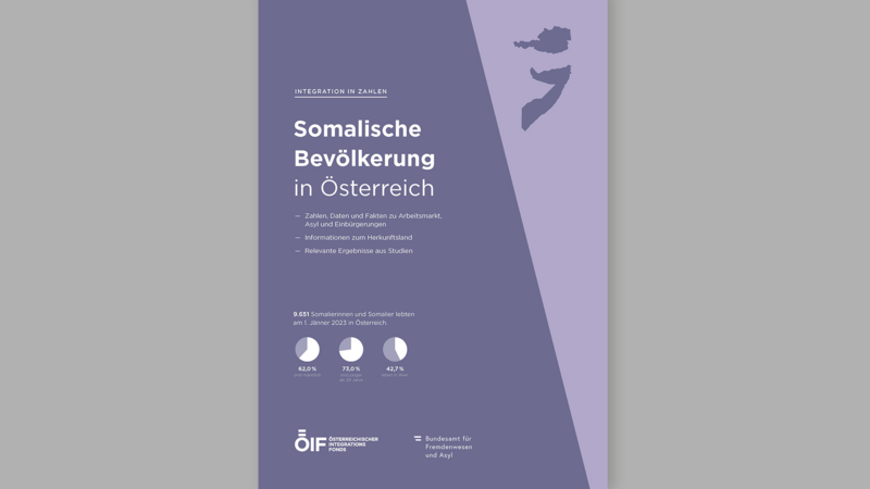 Infografik zur somalischen Bevölkerung in Österreich mit Zahlen zu Asyl, Arbeitsmarkt und demografischen Daten.