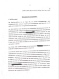 Text über einen internationalen Schutzantrag eines syrischen Staatsangehörigen und seine Fluchtgründe.