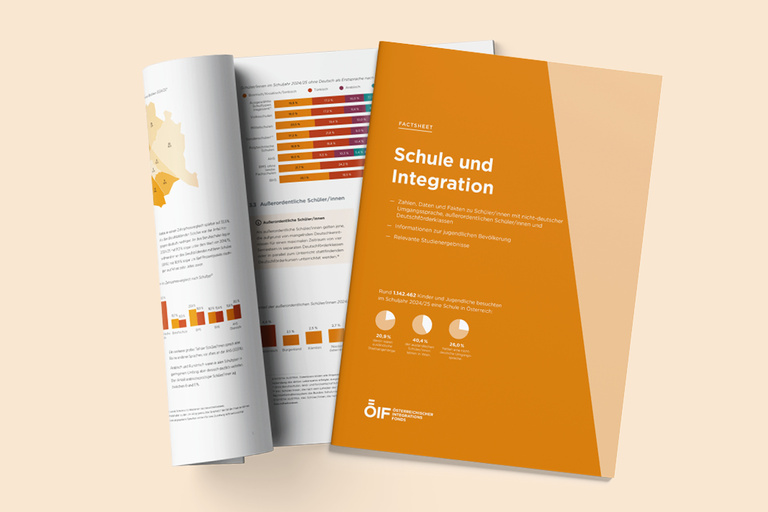 Cover Factsheet Schule und Integration