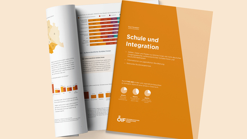 Cover Factsheet Schule und Integration
