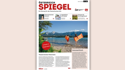 Österreich Spiegel Nummer 110