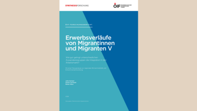 Erwerbsverläufe von Migrantinnnen und Migranten