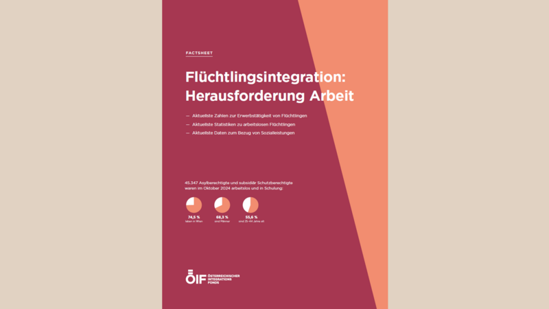 Factsheet zur Flüchtlingsintegration, fokussiert auf Arbeitsmarktherausforderungen und aktuelle Statistiken.
