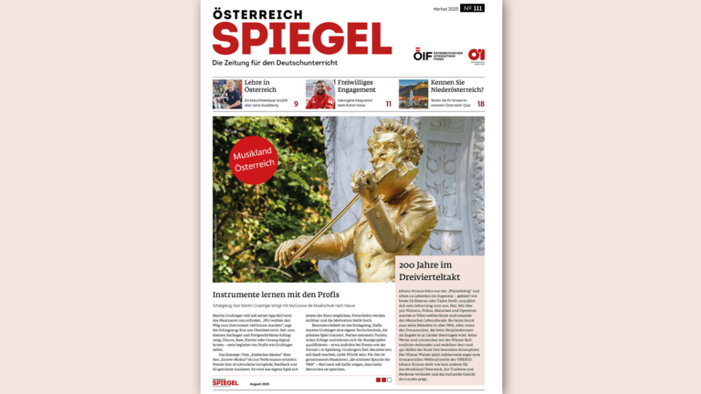 Österreich Spiegel Nummer 110