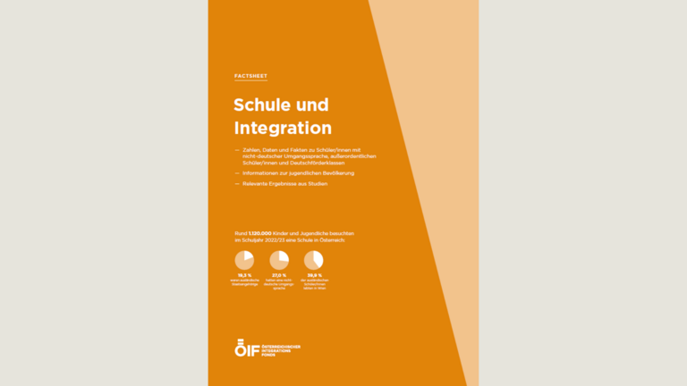 Factsheet Schule und Integration 