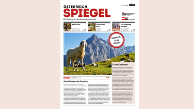 Ein Schaf steht auf einer Wiese vor hohen Bergen, umgeben von anderen Schafen.
