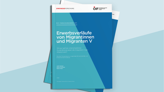 Deckblatt zur Studie Erwerbsverläufe auf blauem Hintergrund