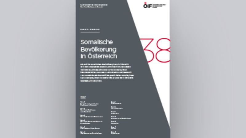 Grafik zur somalischen Bevölkerung in Österreich, mit Titel und Informationen zur Studie.