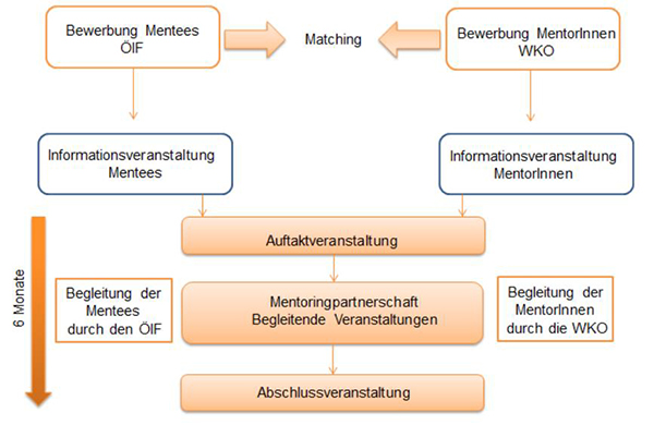 Mentoring für MIgrantInnen – Ablauf